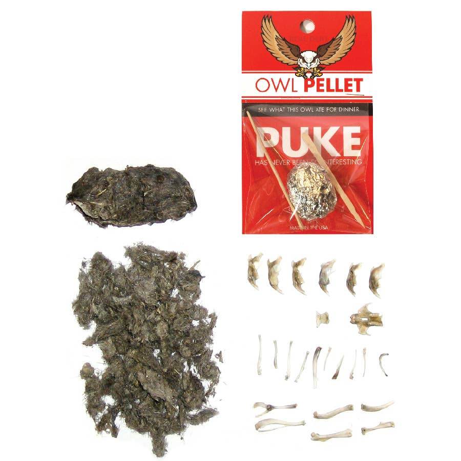 Owl Pellet | Compact Curiosities Dissection Kit Science Demo - Copernicus Toys