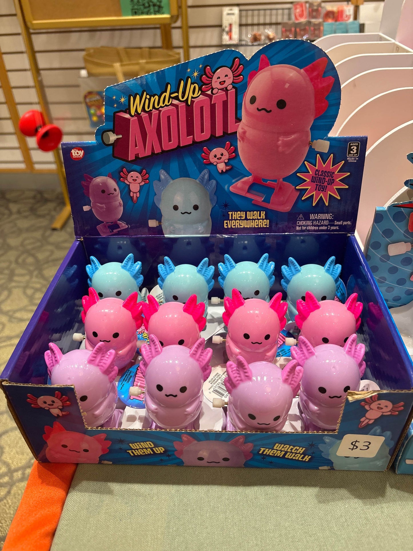 2.75 in Wind-Up Axolotl - The Toy Network