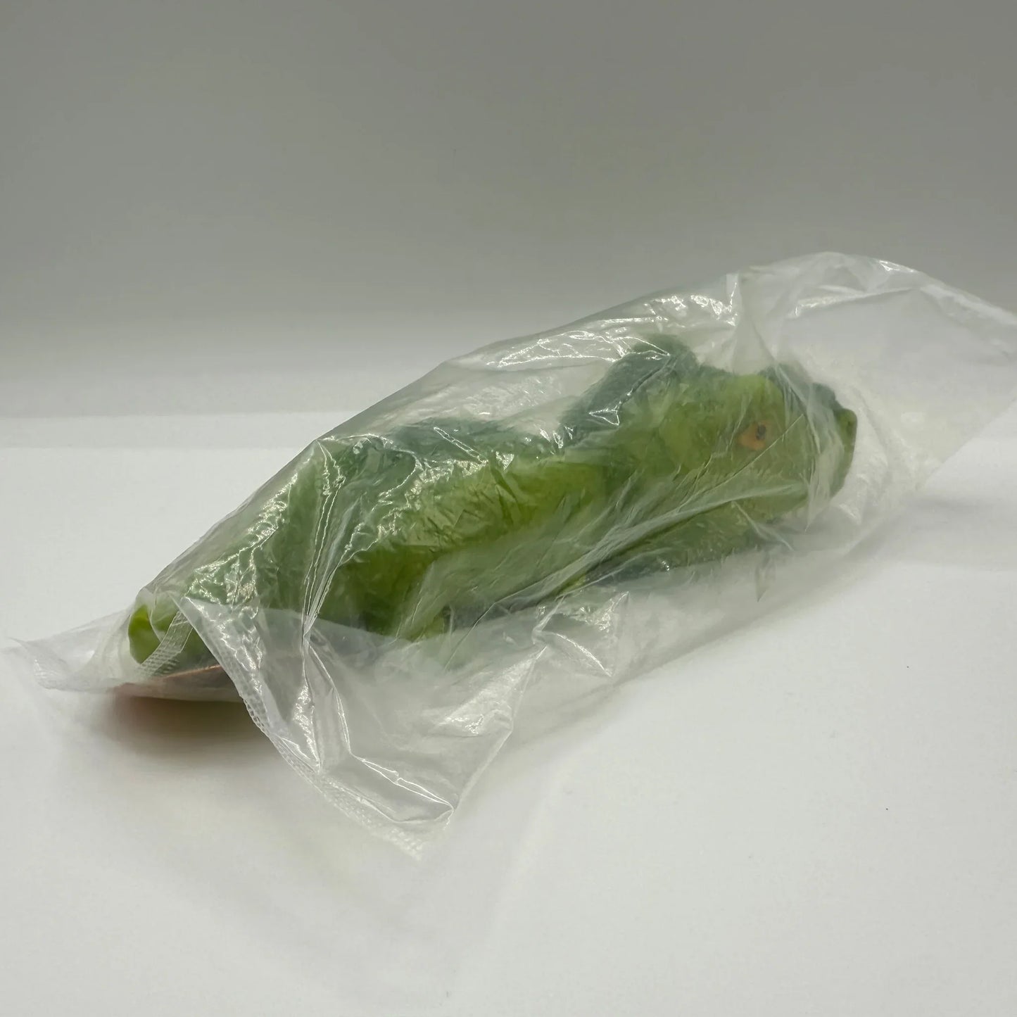 7.5" STRETCHY SAND DINOSAUR - - The Puntique