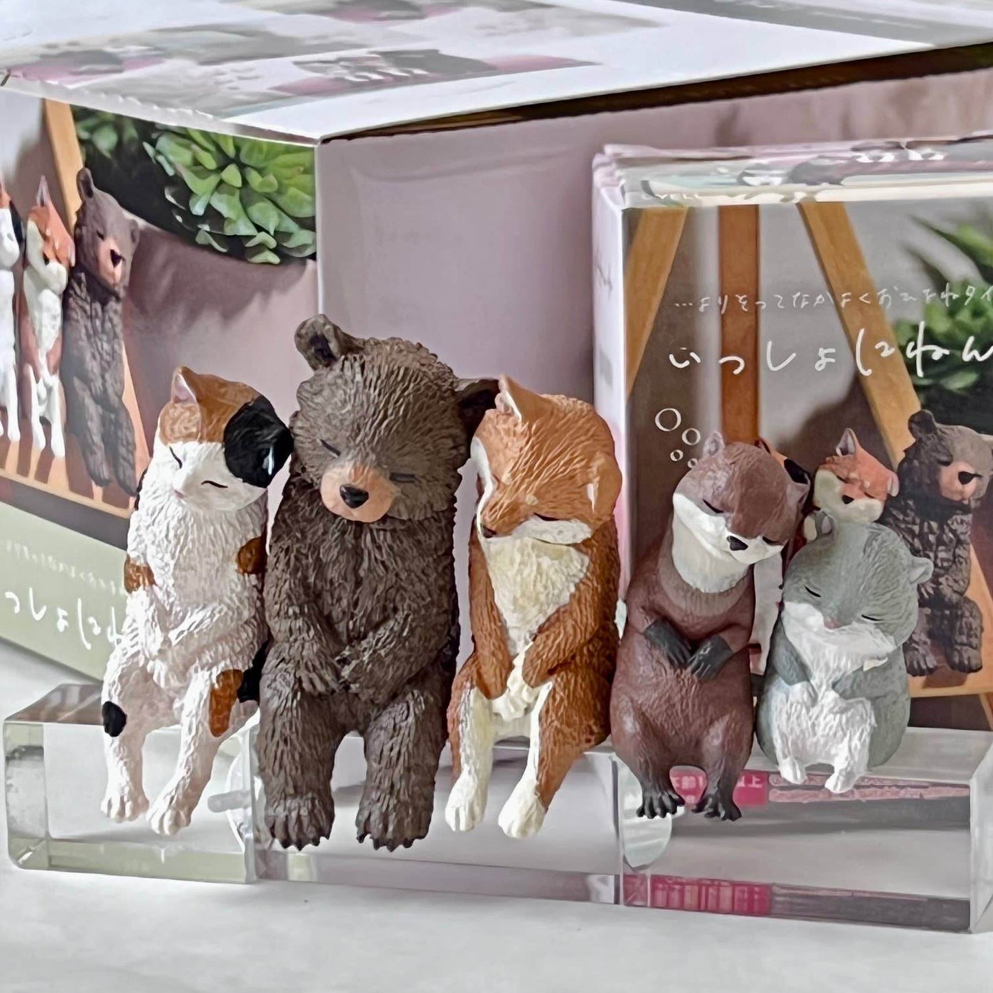 BCmini - SLEEPY ANIMALS FIGURINE BLIND BOX-10 - BCmini