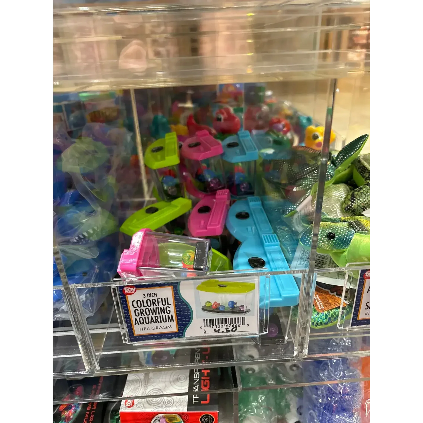 3" GROWING AQUARIUM - - The Puntique