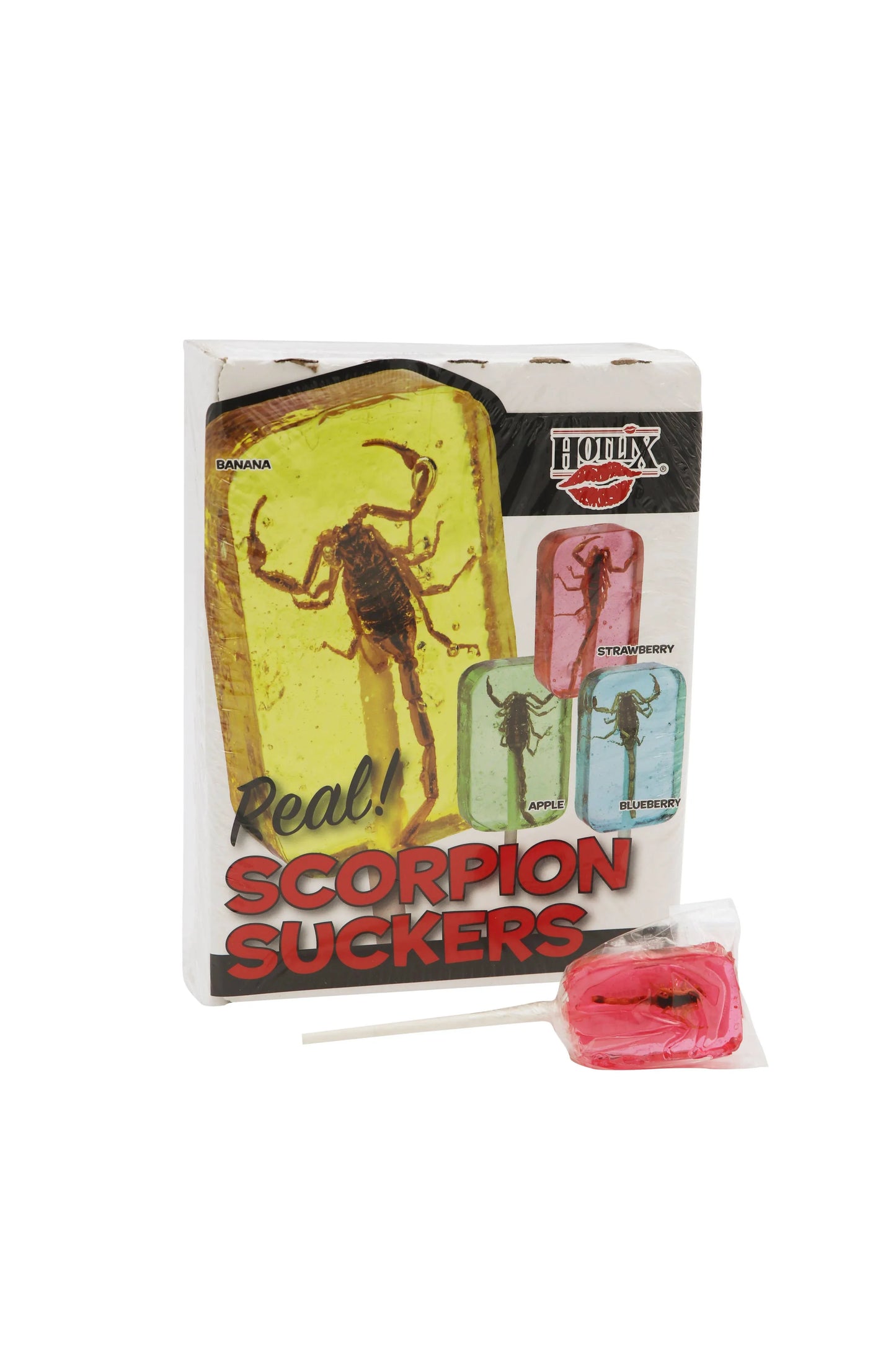 Scorpion Sucker Lollipop, Assorted Flavors - - The Puntique