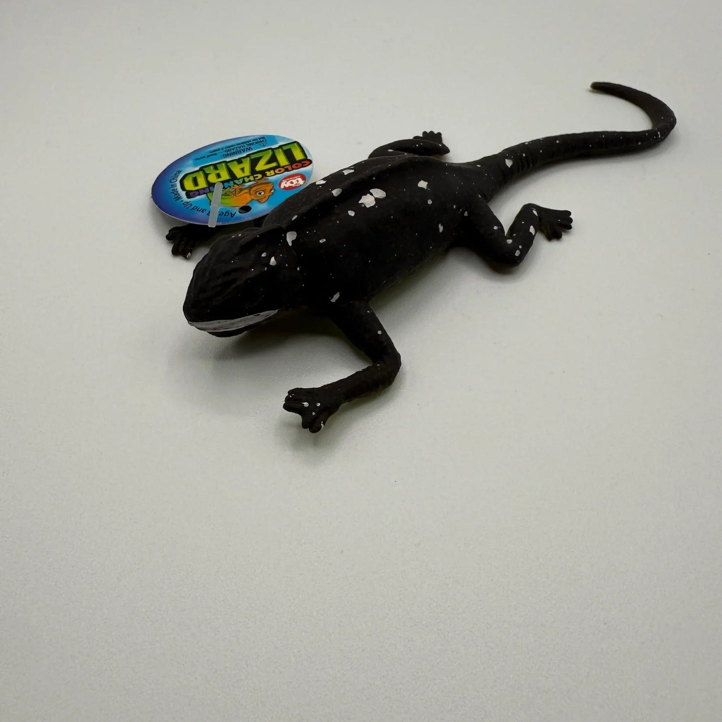 6" COLOR CHANGING LIZARD - - The Puntique