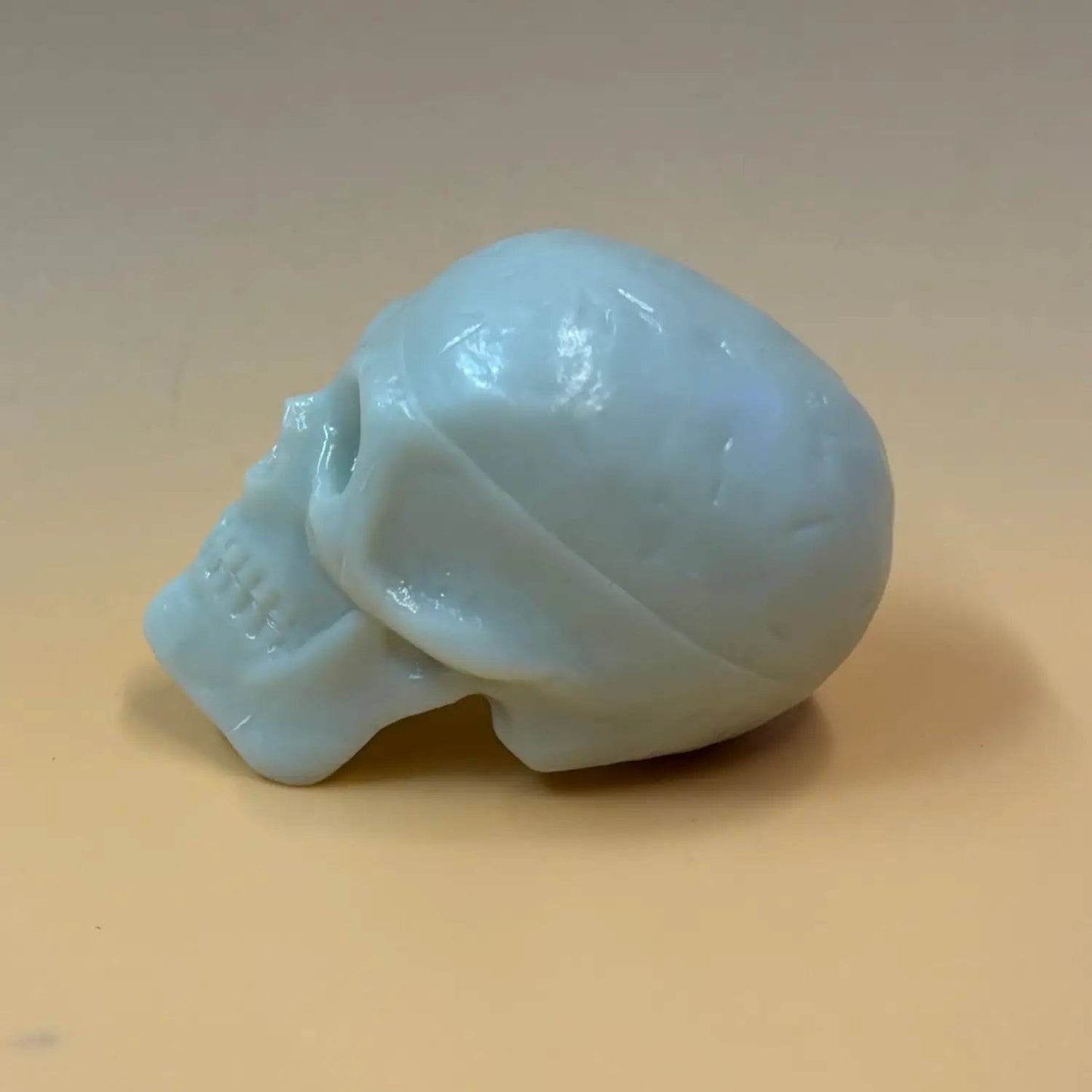 Beadbrain Shaker - Trophy Music Co.