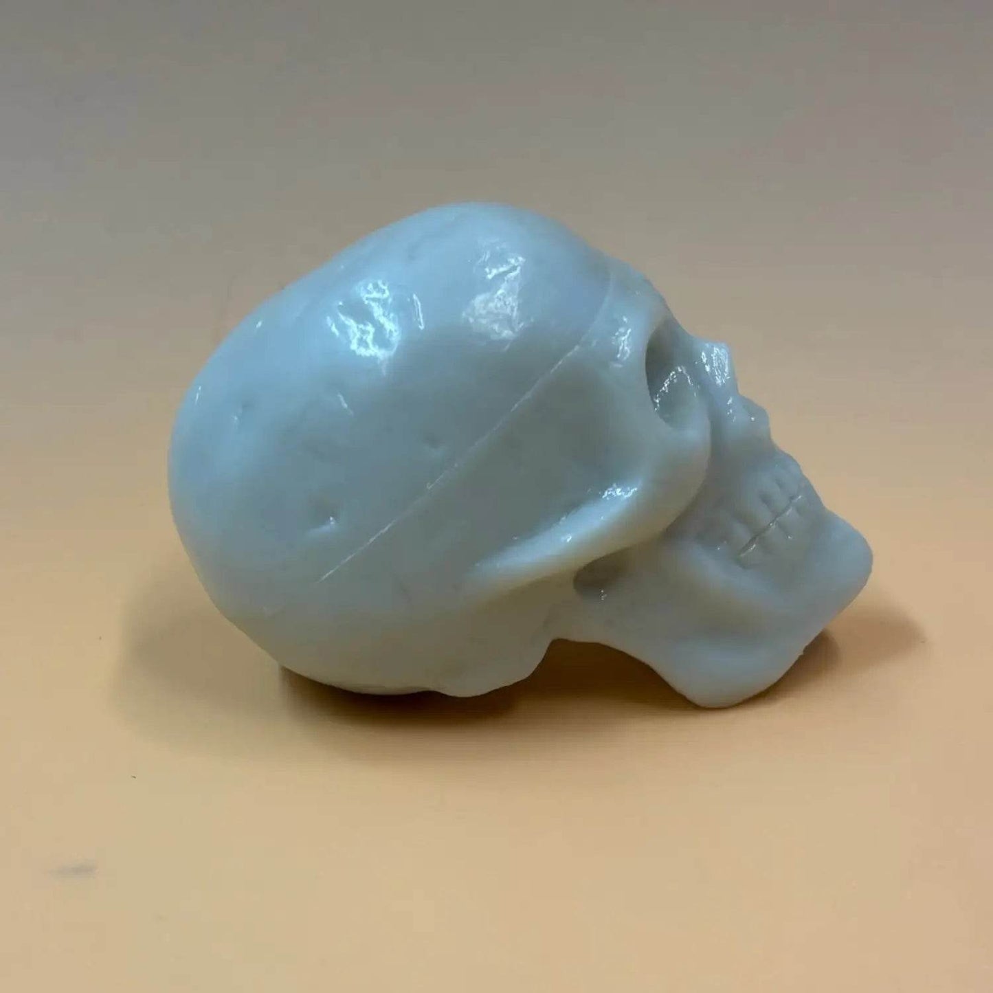 Beadbrain Shaker - Trophy Music Co.