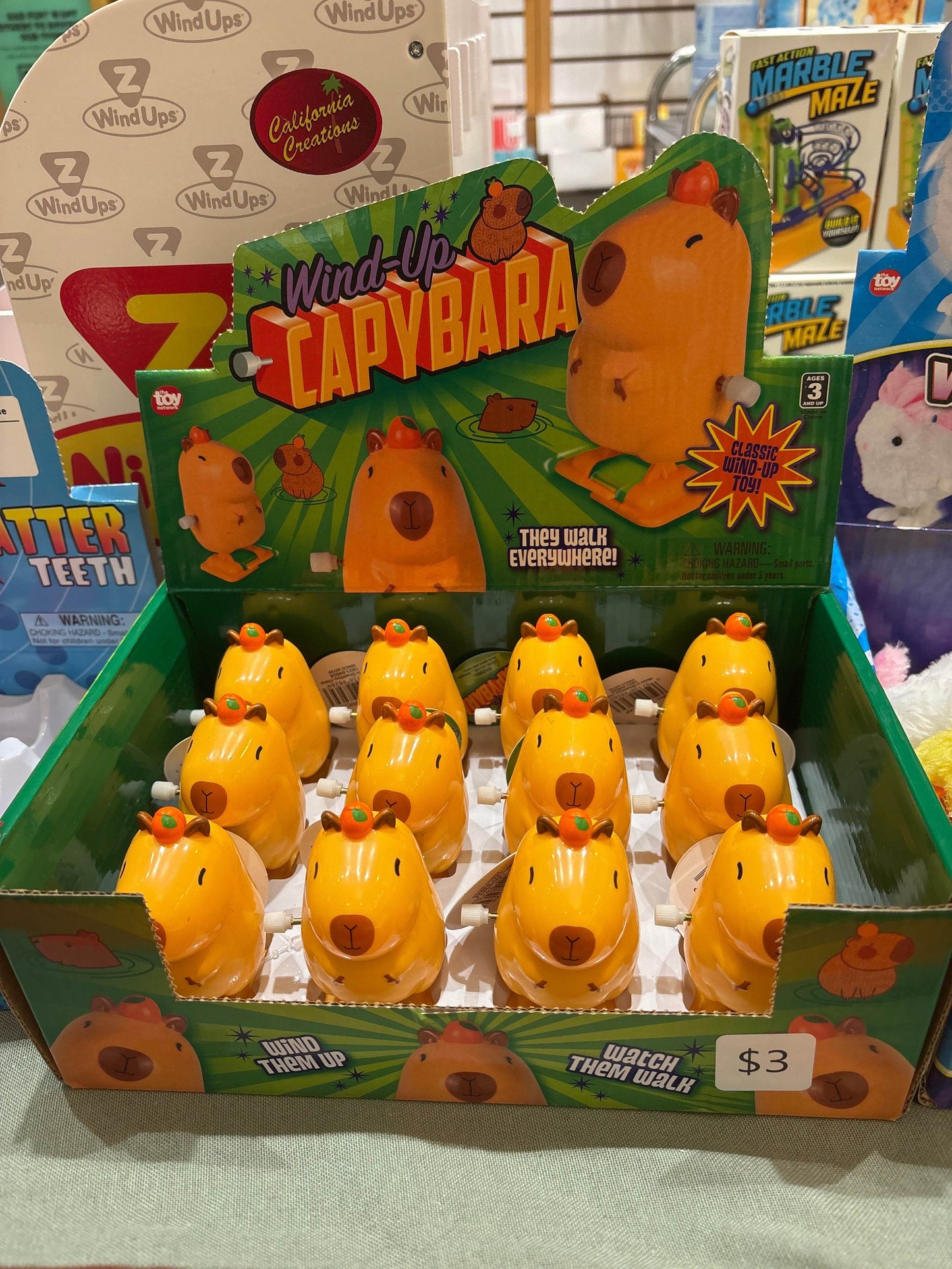 2.75 in Wind-Up Capybara - The Toy Network