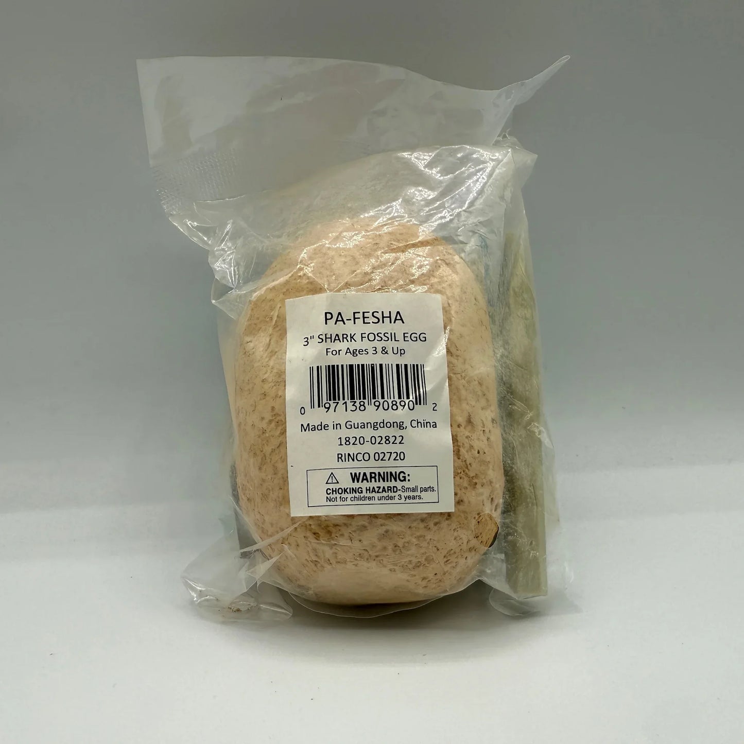 3" SHARK FOSSIL EGG - - The Puntique