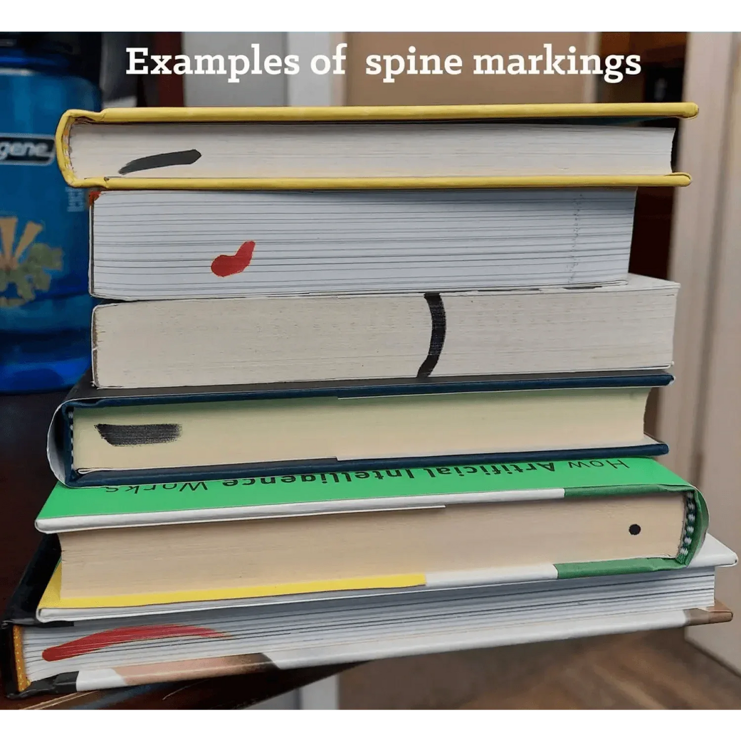 Microcosm Publishing & Distribution - Let's Taco About How Great - - The Puntique