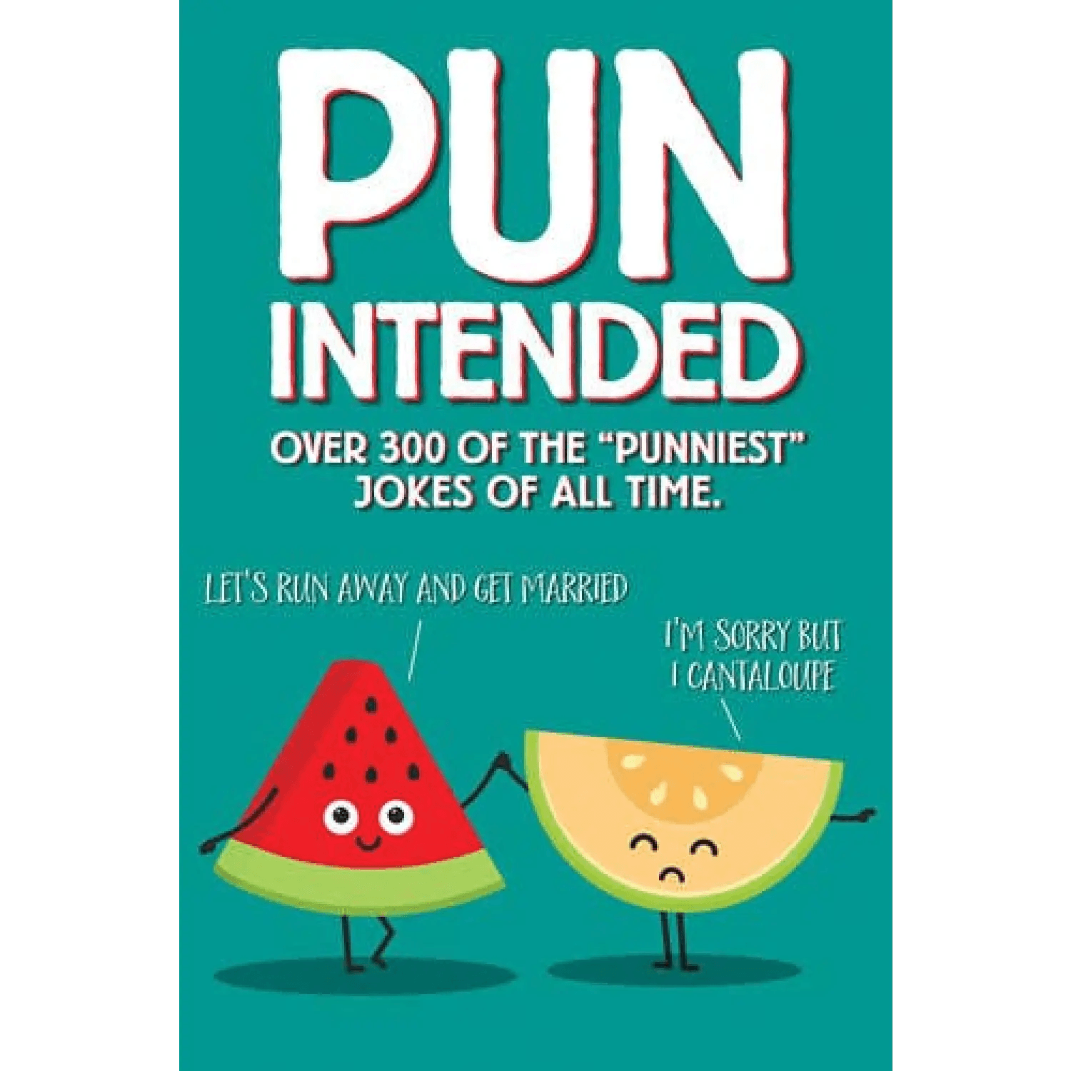 Willow Creek Press & Gifts - Pun Intended 6x9 Softcover Humor Book - Willow Creek Press & Gifts