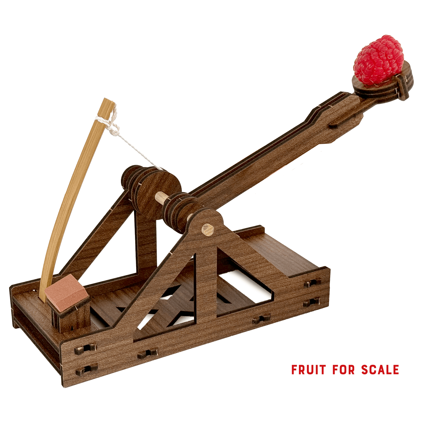 Mini Catapult : Wooden Engineering Model Building Kit - Copernicus Toys