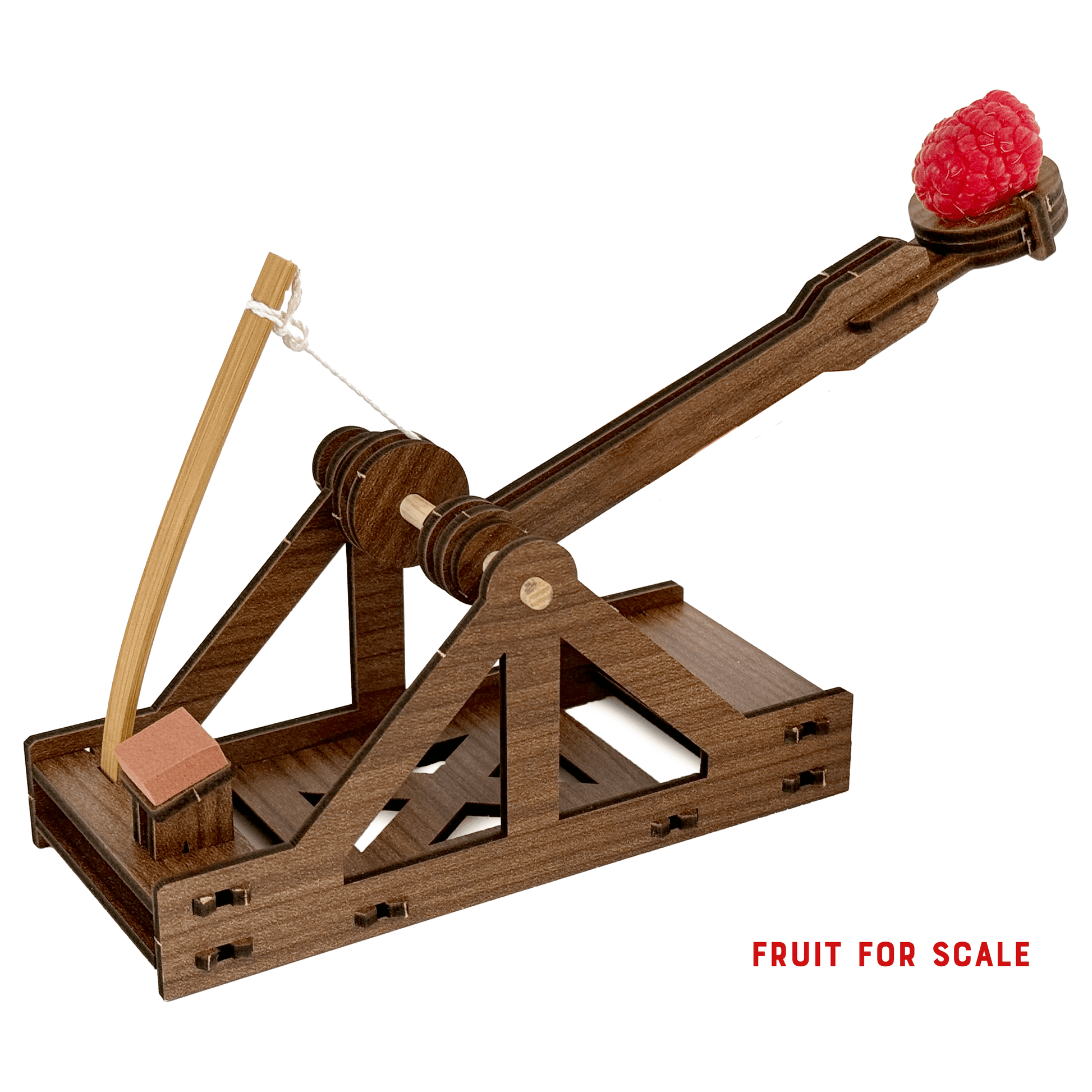 Mini Catapult : Wooden Engineering Model Building Kit - Copernicus Toys