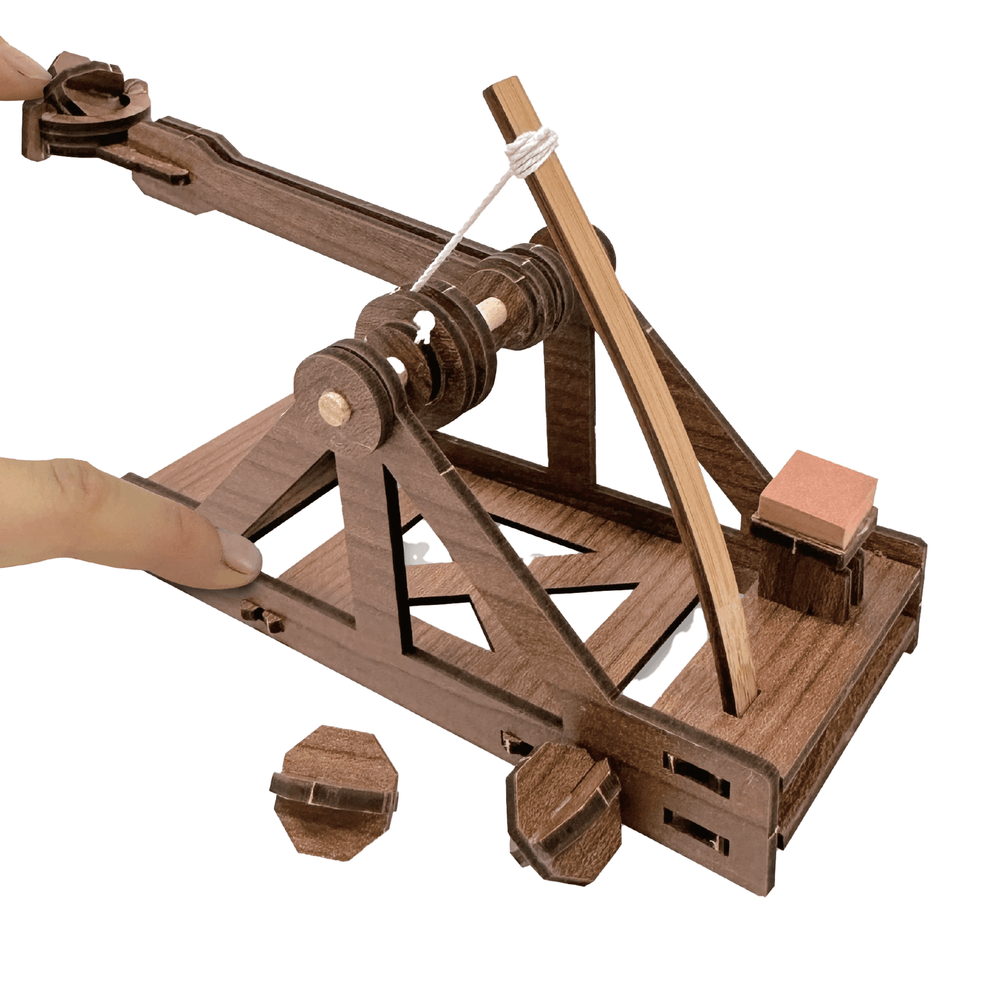 Mini Catapult : Wooden Engineering Model Building Kit - Copernicus Toys