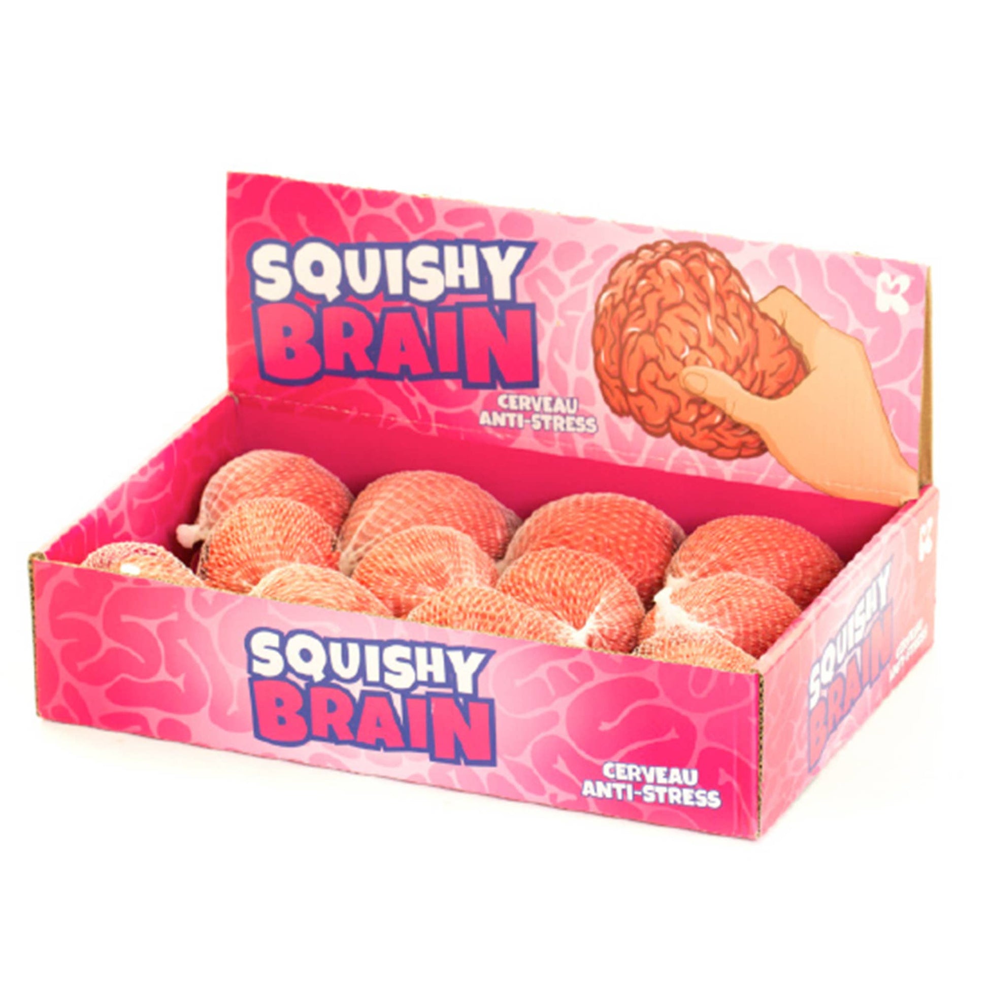 Squidgy Brain - - The Puntique