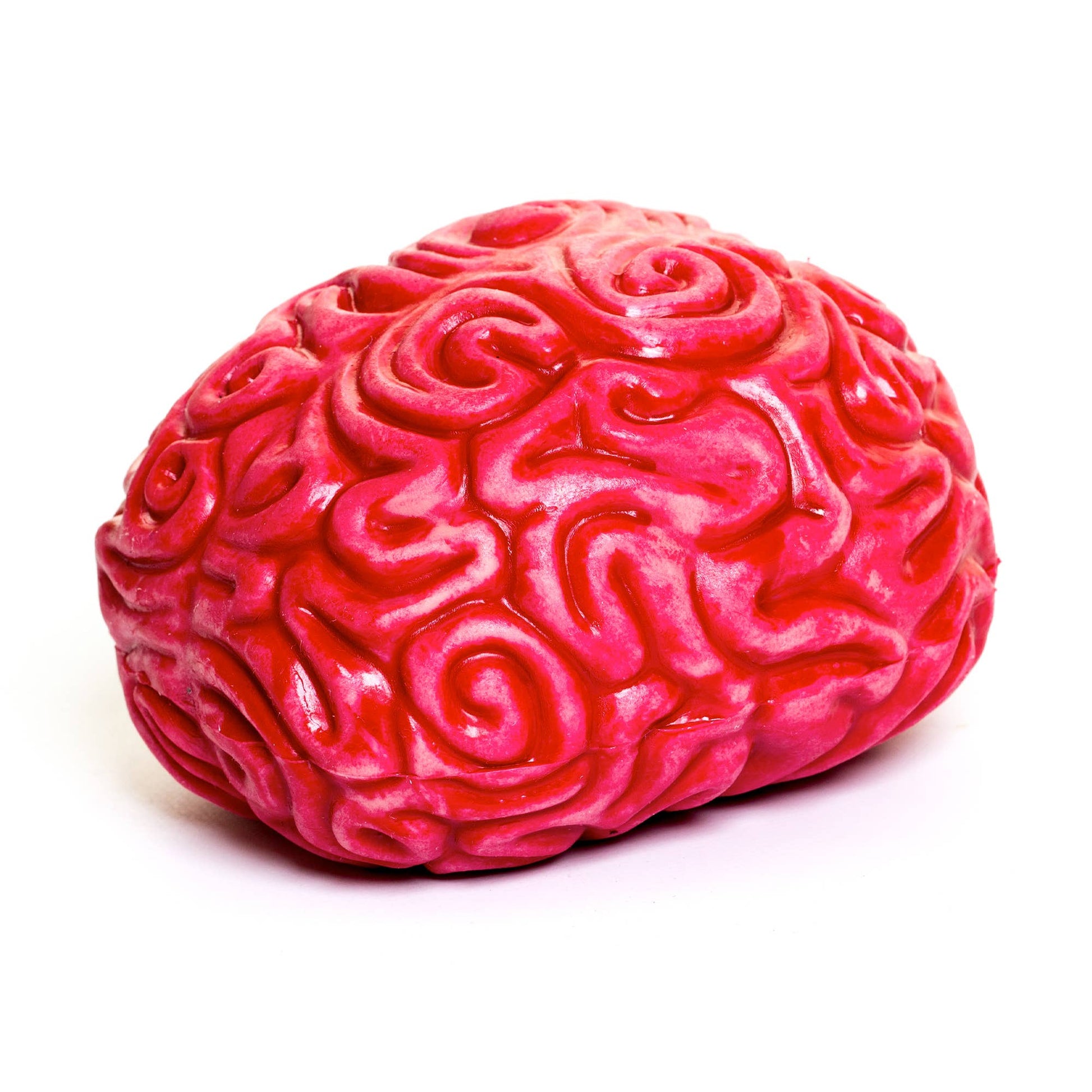 Squidgy Brain - - The Puntique