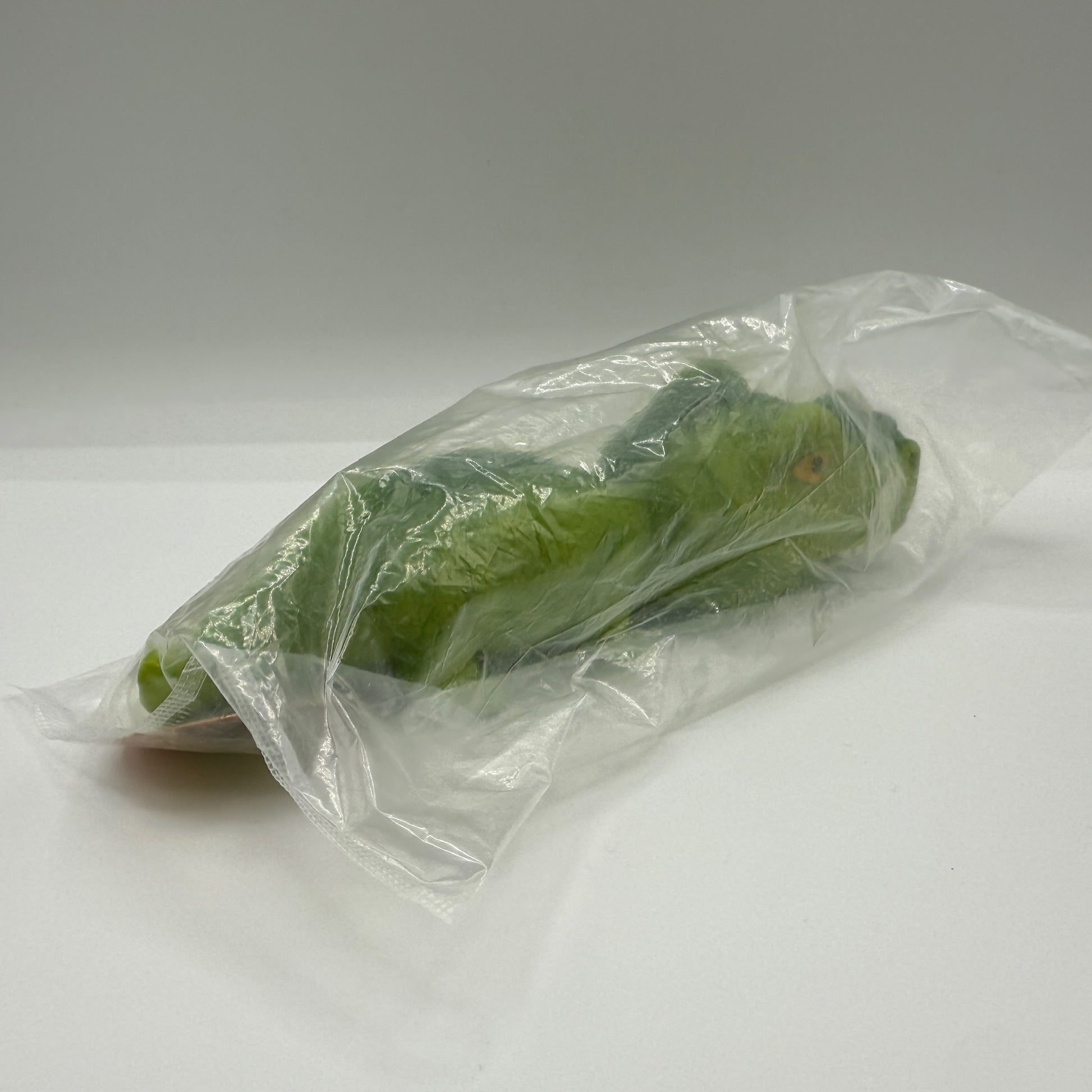 7.5" STRETCHY SAND DINOSAUR - - The Puntique