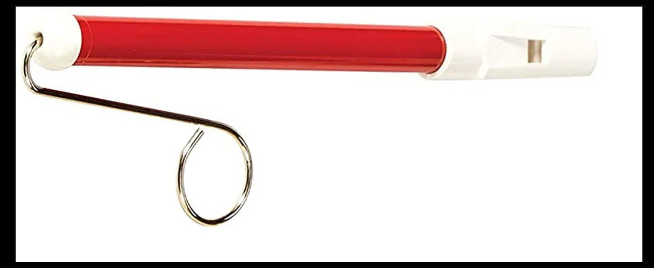 Durable Slide Whistle - Slide for Different Notes - Instrume - - The Puntique