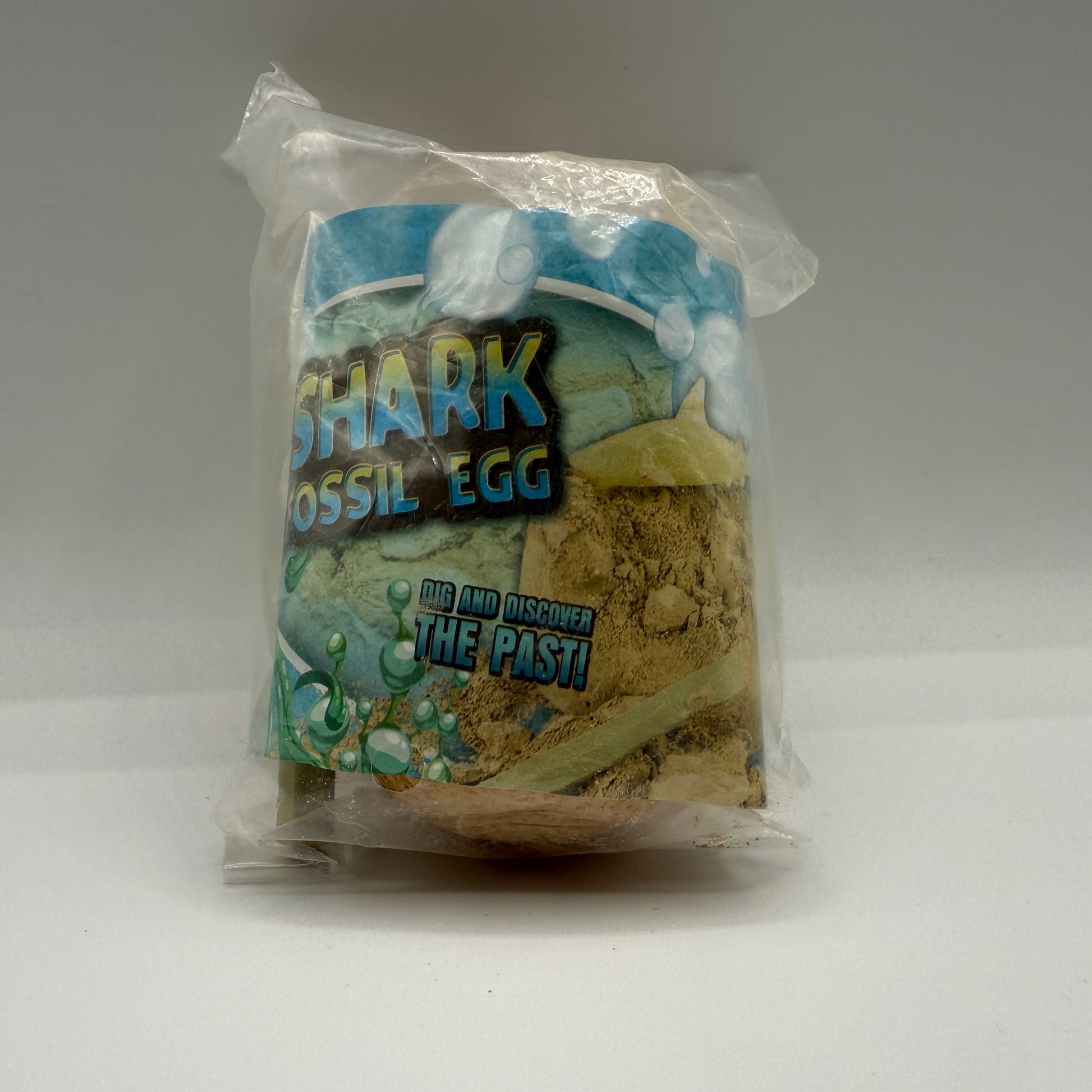 3" SHARK FOSSIL EGG - - The Puntique