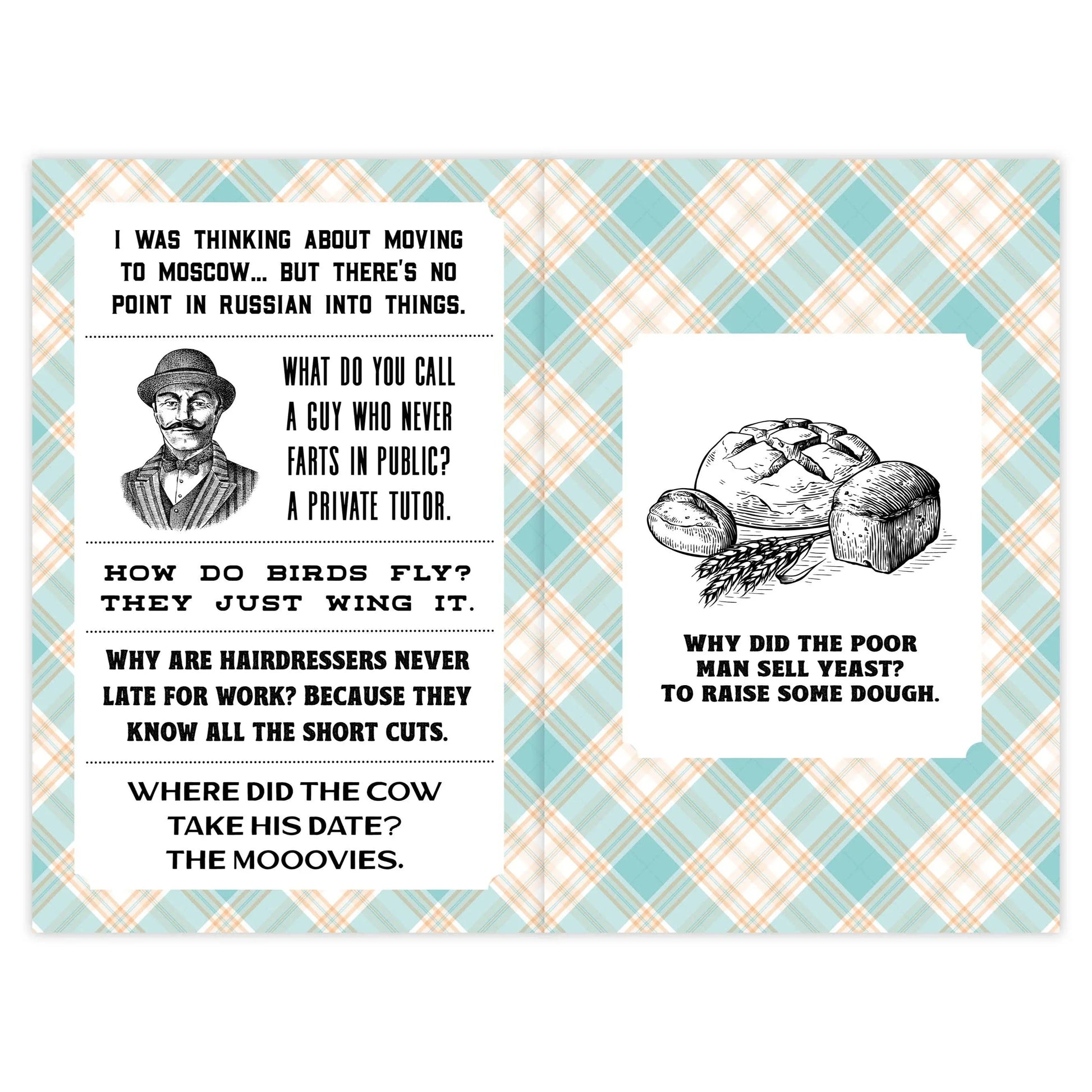 Dad Jokes Softcover 6x9 Book - - The Puntique