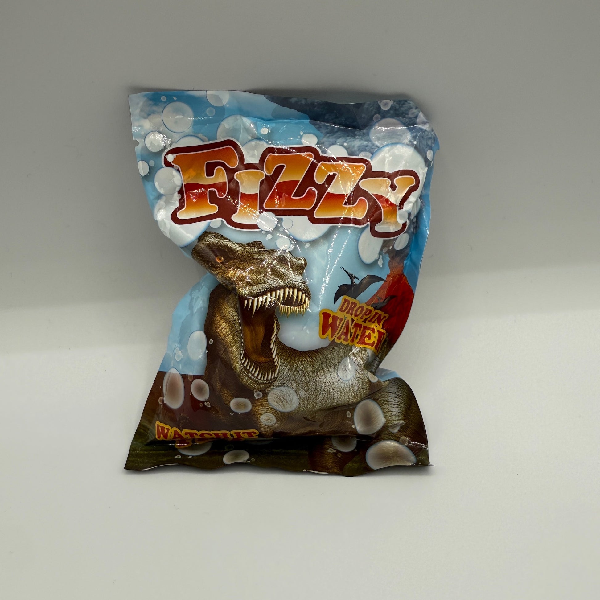 3" DINOSAUR FIZZY EGG - - The Puntique