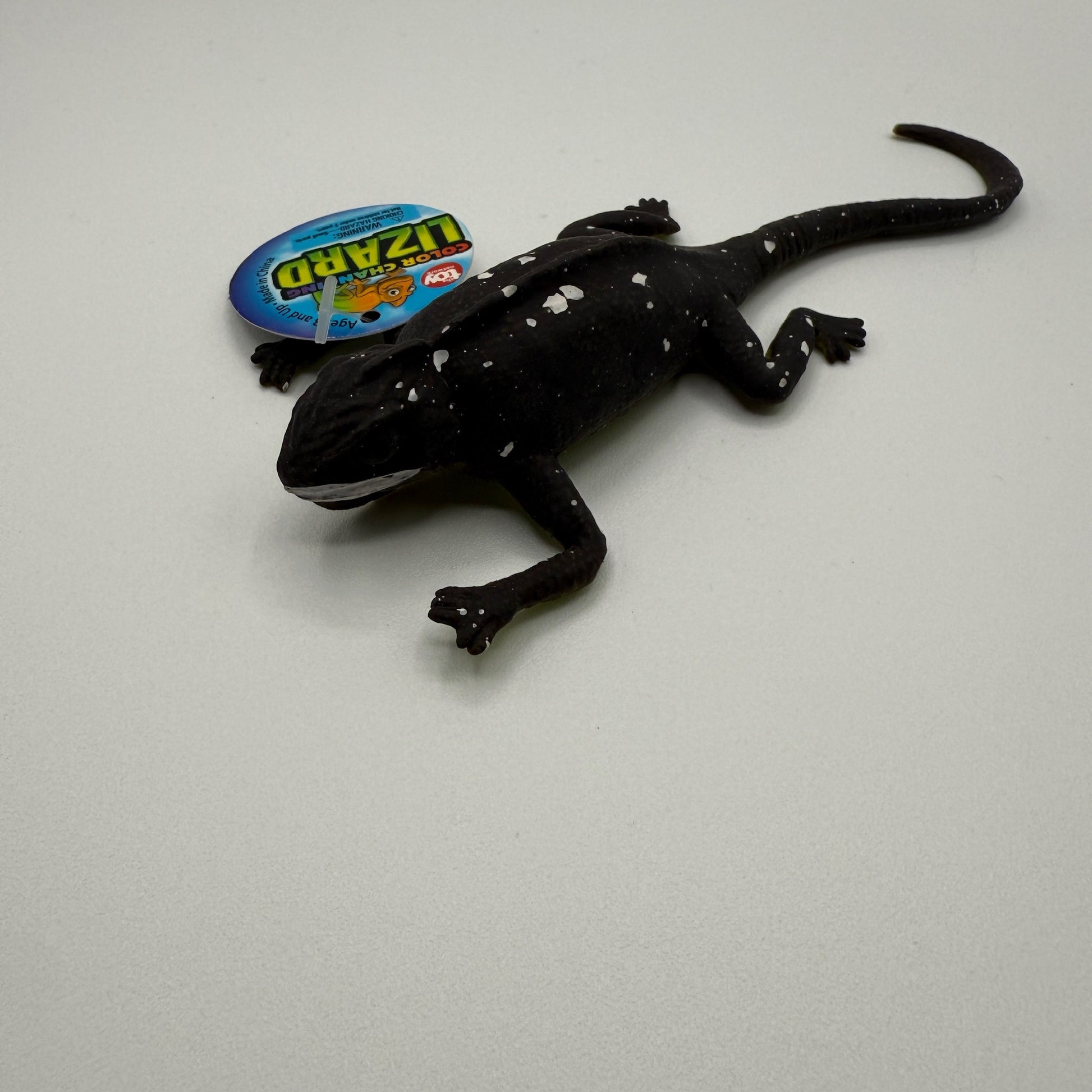 6" COLOR CHANGING LIZARD - - The Puntique