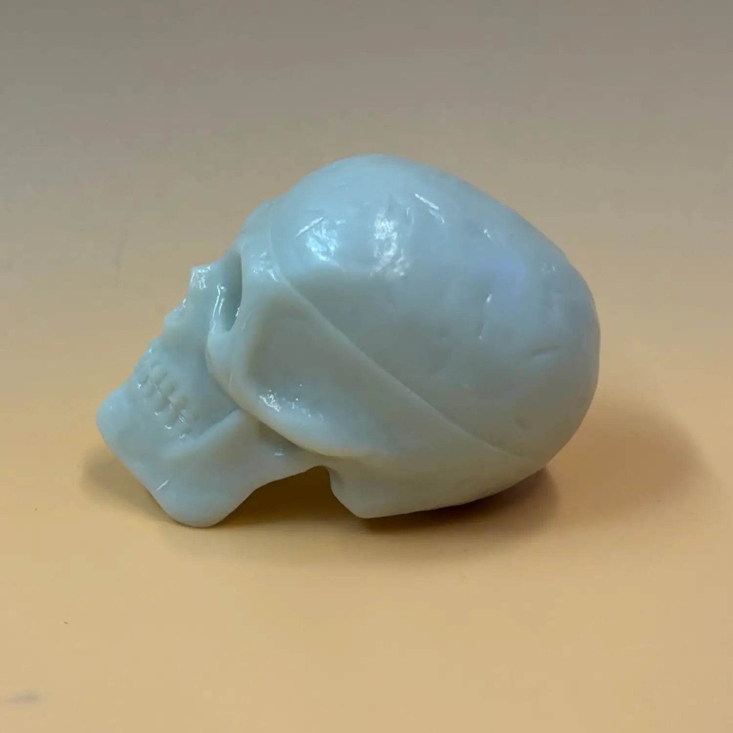 Beadbrain Shaker - Trophy Music Co.