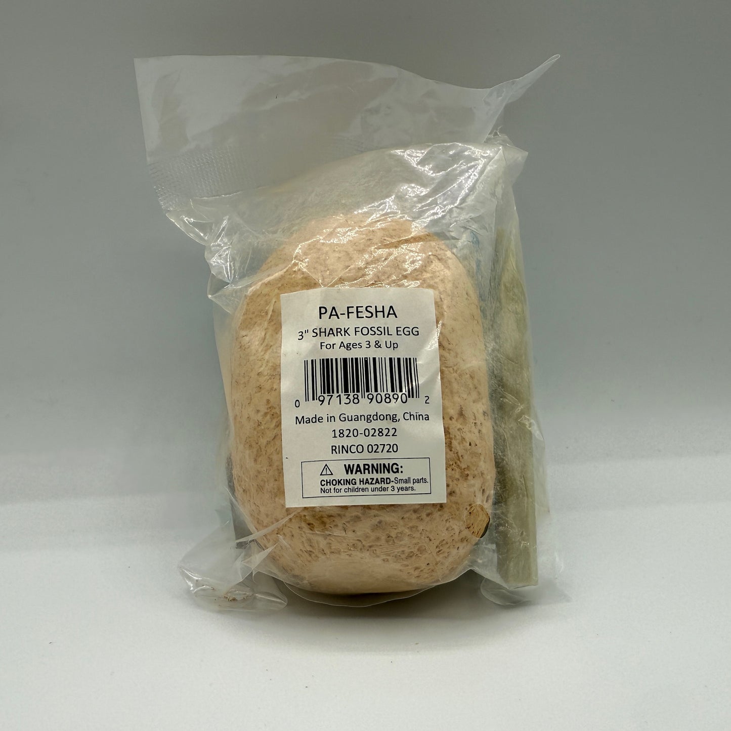 3" SHARK FOSSIL EGG - - The Puntique