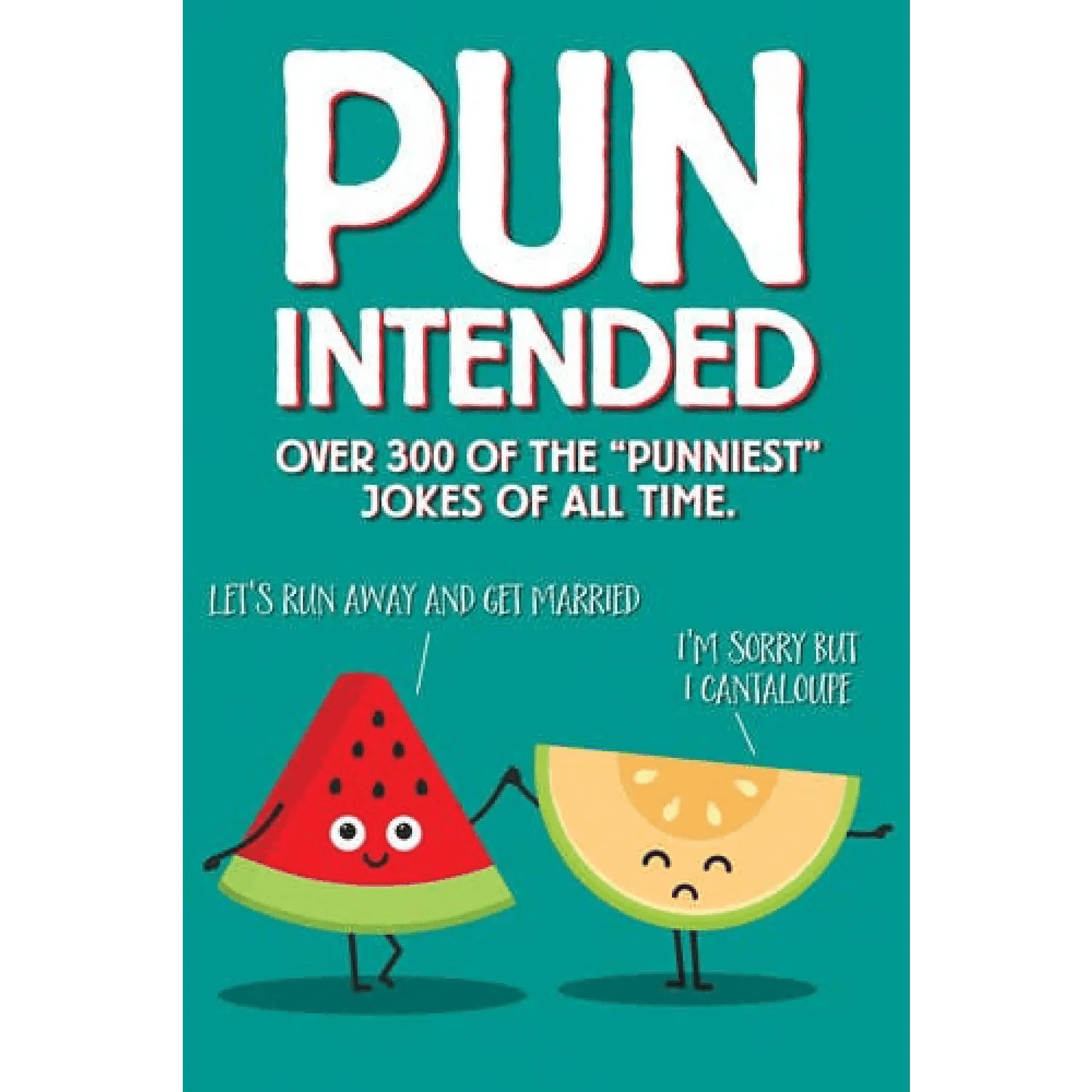Willow Creek Press & Gifts - Pun Intended 6x9 Softcover Humor Book - Willow Creek Press & Gifts