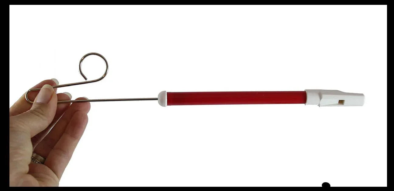 Durable Slide Whistle - Slide for Different Notes - Instrume - - The Puntique